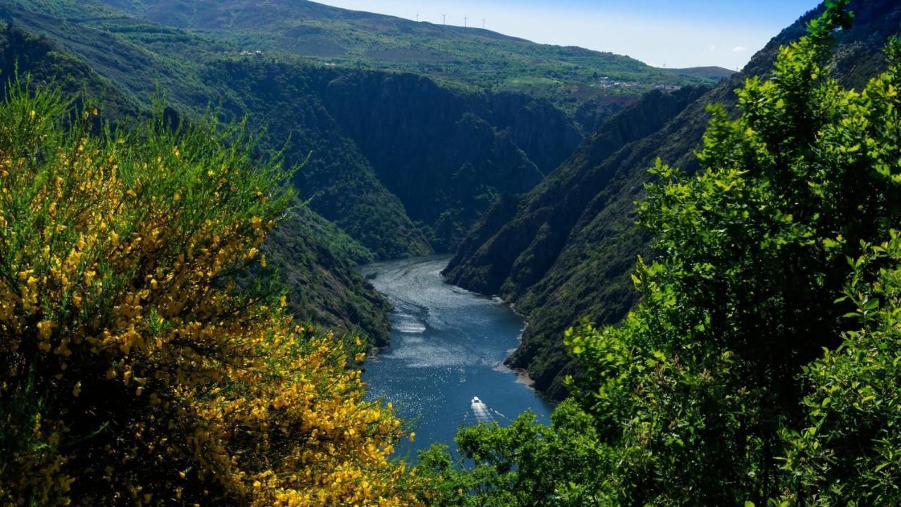 Morin Grey Casa En El Corazon De La Ribeira Sacra Villa Monforte De Lemos Exterior foto