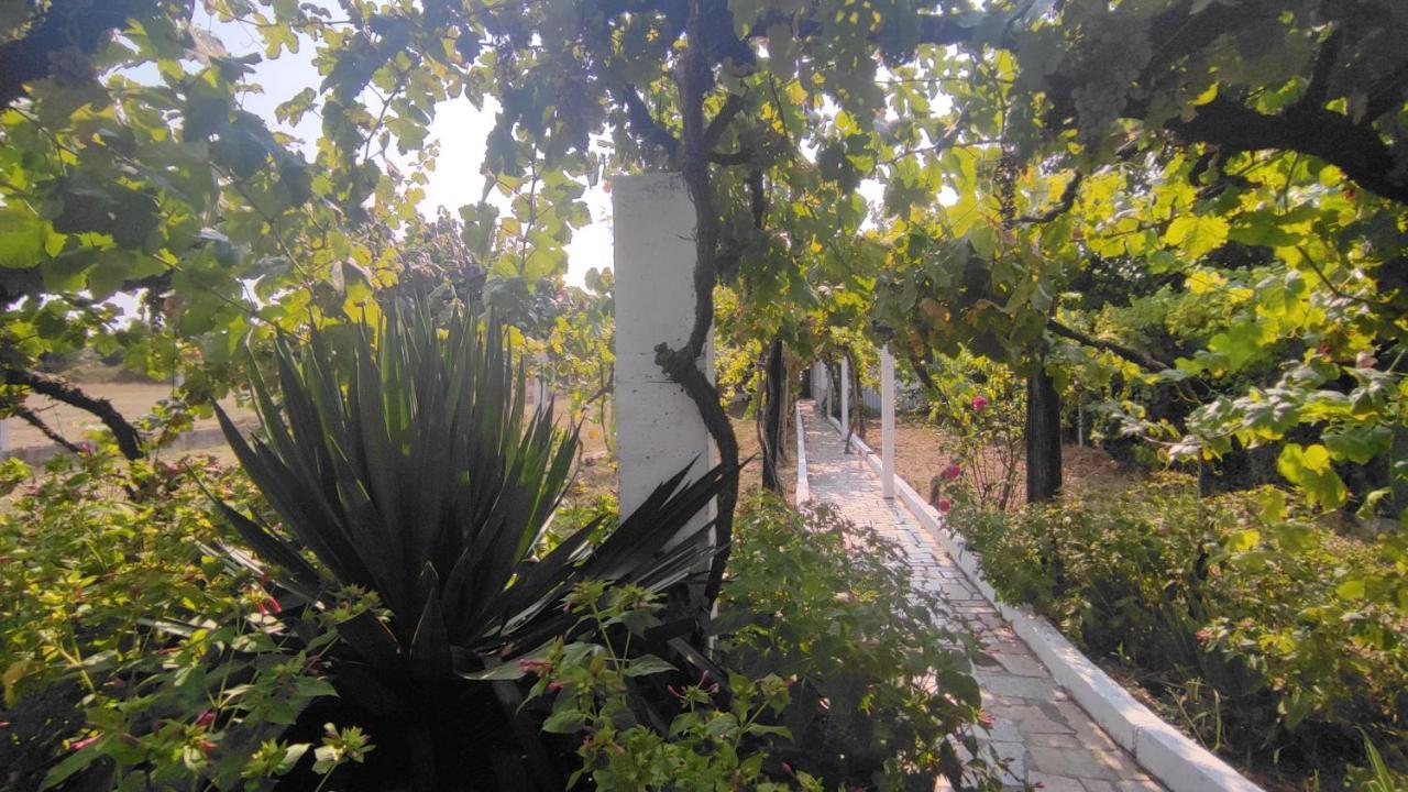Morin Grey Casa En El Corazon De La Ribeira Sacra Villa Monforte De Lemos Exterior foto